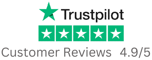 business setup Trustpilot Reviews